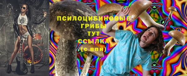 не бодяженный Аркадак