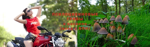 бутират Армянск