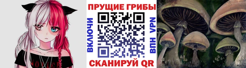блэк спрут рабочий сайт  дарнет шоп  Болотное  Псилоцибиновые грибы Magic Shrooms 